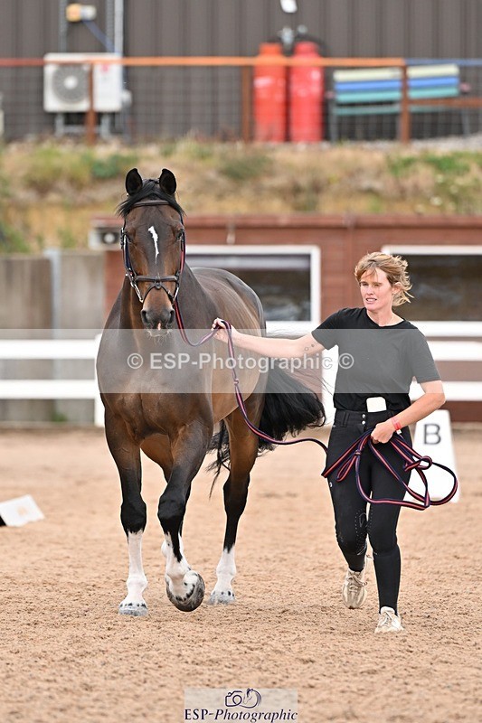 250716-163409-02670 - Trot Up 4.30 to 5.00