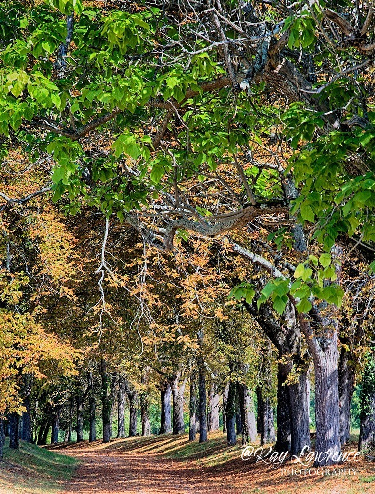 france 2009-190a - Further Afield