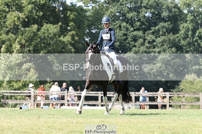 250823A-121101-29421 - Arena D