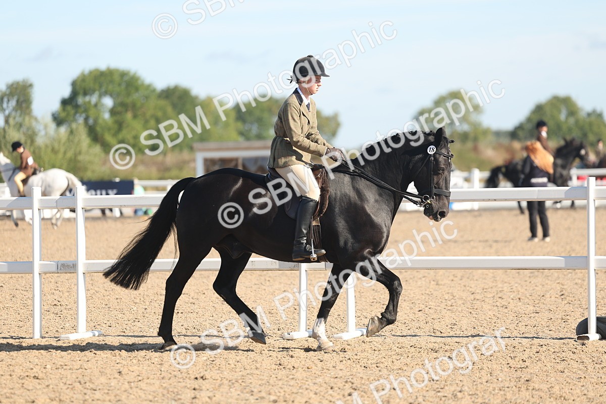 SBM_12281 - Class 304 - Ridden part Bred Horse Pony