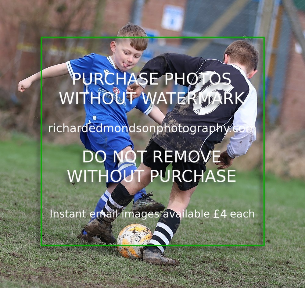 533A8327 - Ibis Under 8's (14/3/26)