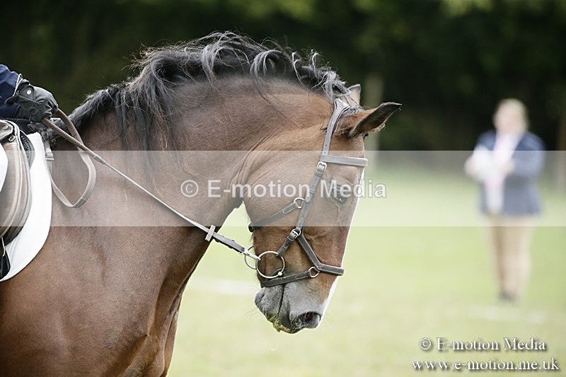 BVR080918 247 - BVRC Novice Dressage & CR 08/09/18