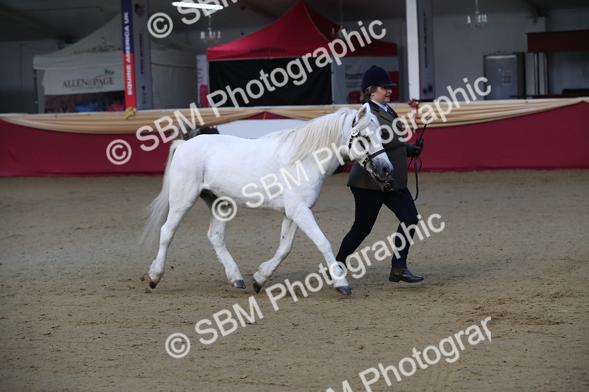 SBM_00282 - Class 1a - Area IH Diamond