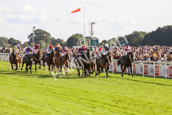240824-Race 7-Sir Busker-9232 - Race 7 5.20pm Sky Bet Finale Handicap