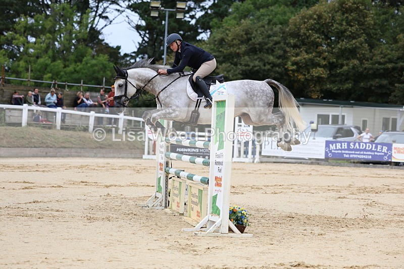 3E7A3322 - Class 9: Senior Foxhunter/1.20 open