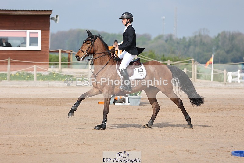 250424-101744-02938 - Cls 33 Young Horse 7yr old