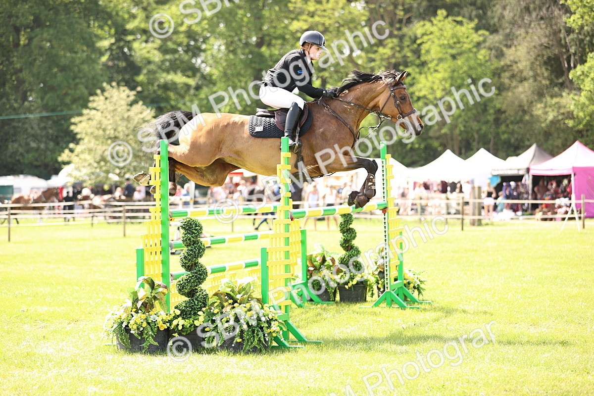 SBM_03090 - Class 201 - British Horse Feedds Speedi Beet HOYS Grade C