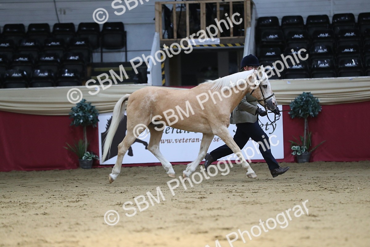 SBM_04386 - Class 7R Regional - IH Diamond