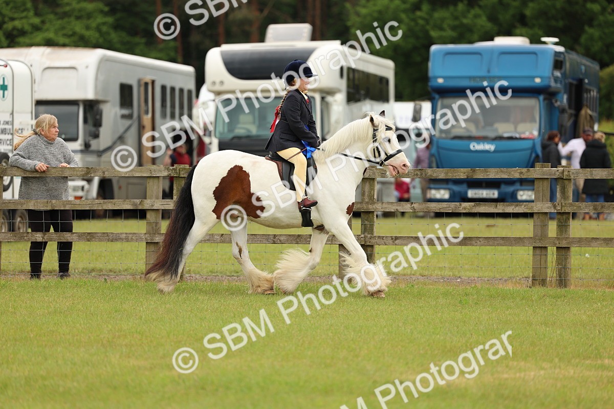 SBM_06365 - Class 39-41 TGCA In Hand and Ridden