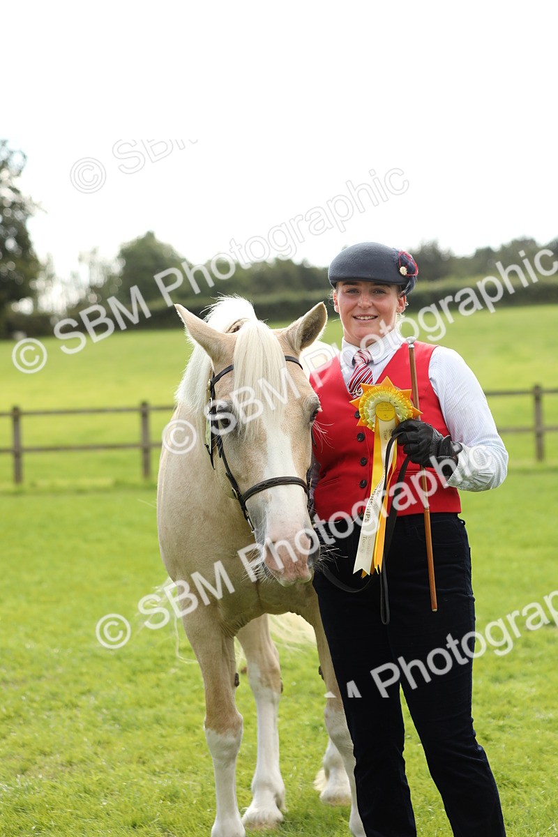 SBM_65545 - S47 - Mountain & Moorland In Hand Large Breeds