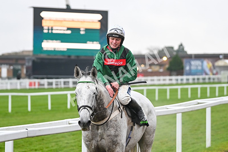 131224-Race 5-Numitor-9518 - Race 5