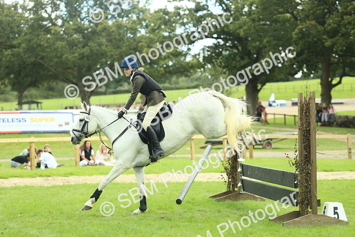 SBM_44727 - S31 - Working Hunter Pony
