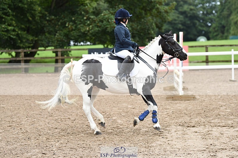 230731-145256-01795 - Mini Major