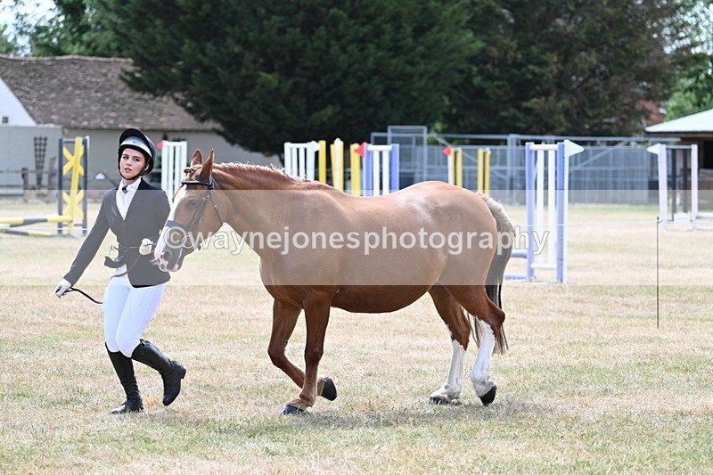 WJ7_1977 - Class 4a Prettiest Mare 14.2hh and over hand
