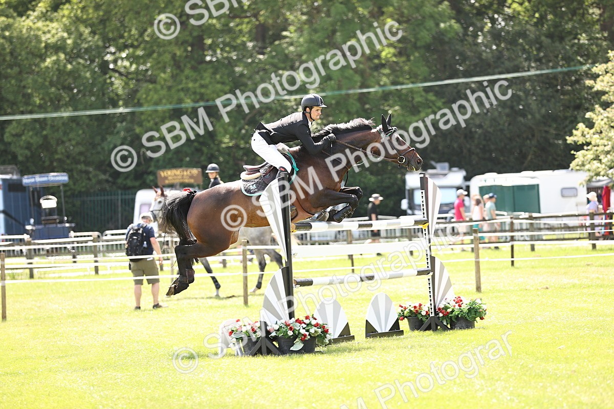 SBM_03998 - Class 201 - British Horse Feedds Speedi Beet HOYS Grade C