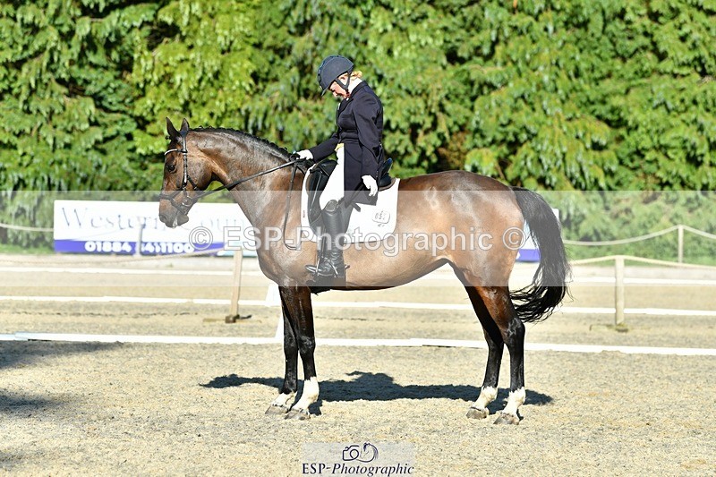 230623-182708-03256 - Cls 11 FEI PSG