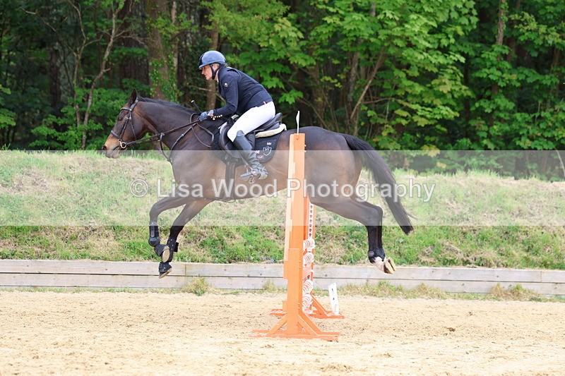 3E7A6457 - Class 4: Senior British Novice/90cm open