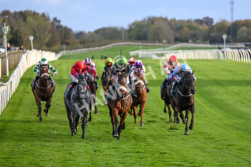 281025-Race 6-The Good Biscuit-1916 - Race 6
