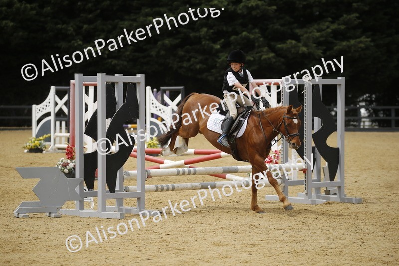 20250622-5910 - 60cm