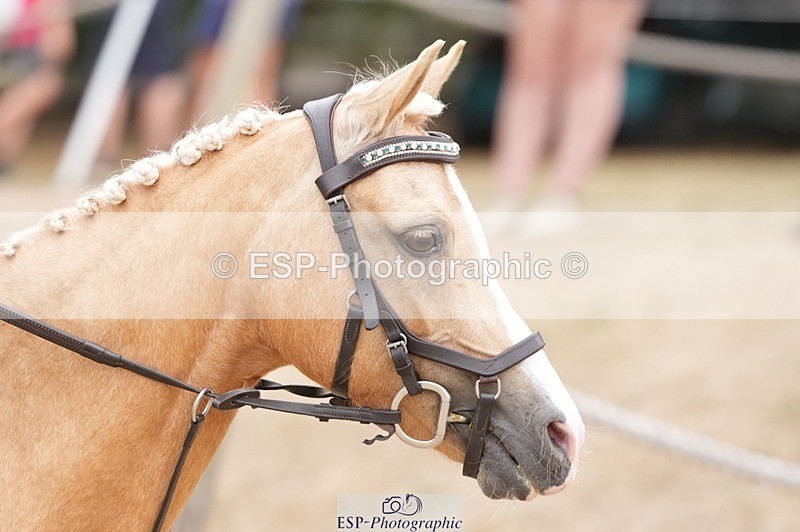 250820A-122542-06296 - Round 2, 11.45 to 12.30 End