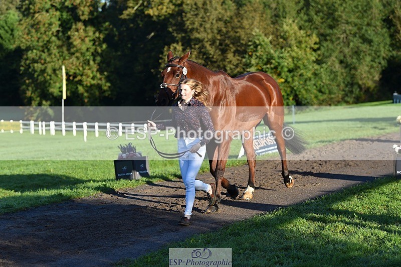 231022-091708-21670 - 620-PENOLVA.HIGH.HOPES-Elizabeth.Payne-TrotUp+SJ