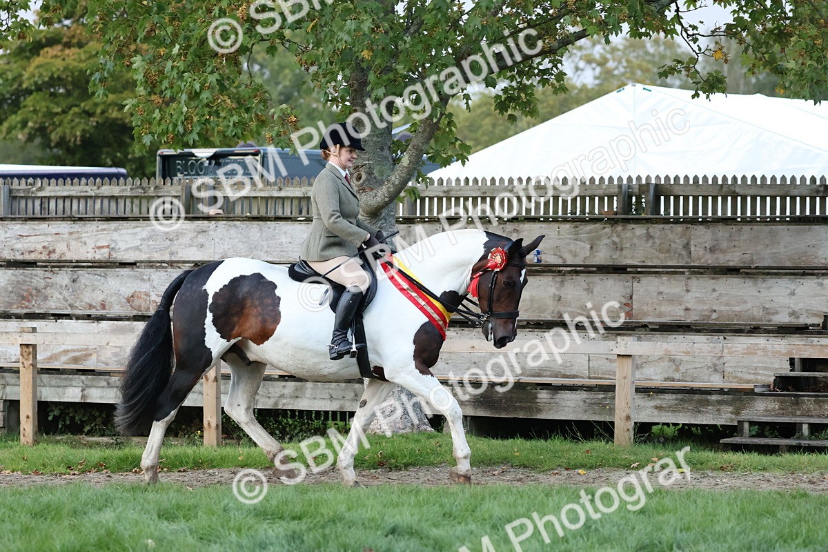 SBM_53407 - Super Supreme Championship (Sat)