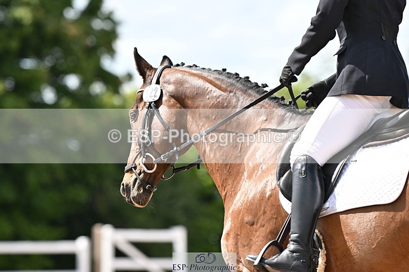 240622A-152244-12127 - Cls 6B+C Novice 30 RoR