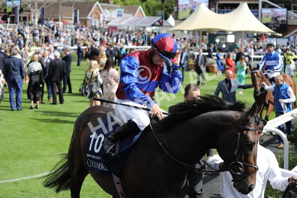 yr19082022r4-27 - Race 4 3.35pm Coolmore Wootton Bassett Nunthorpe Stakes (British Champion Series Race)