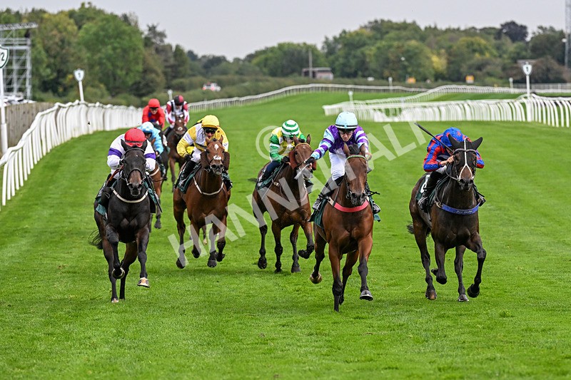 011025-Race 5-Blue Jay Way-0468 - Race 5