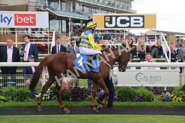 yr11062022r7-1 - Race 7 4.50pm The Ice Co Supporting Macmillan Stakes