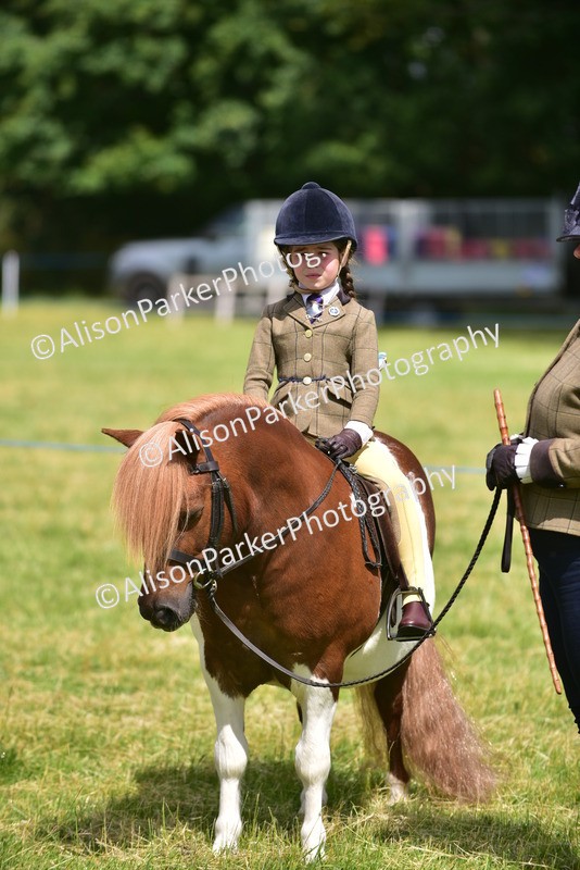 20260614-1200 - Class 11a - Lead Rein Pony (Unplaited)