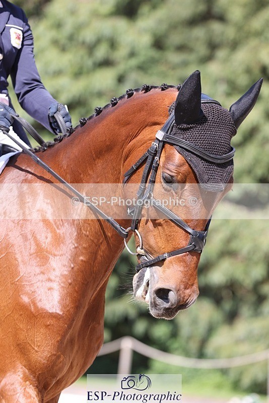 230526-155010-07698 - 166-LA_PAZ_W-Georgia_Bartlett-WEDTrotUp+DR