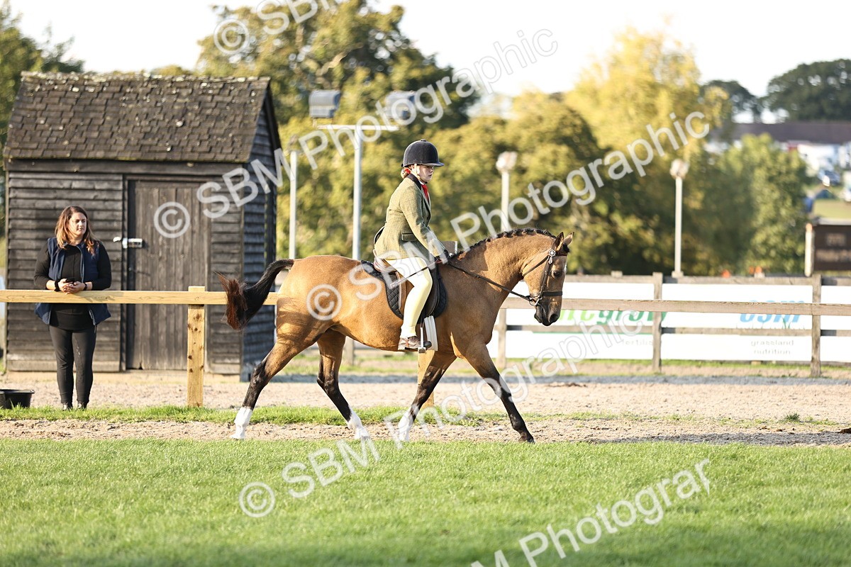 SBM_29583 - S7 - Novice & Newcomers Ridden Pony