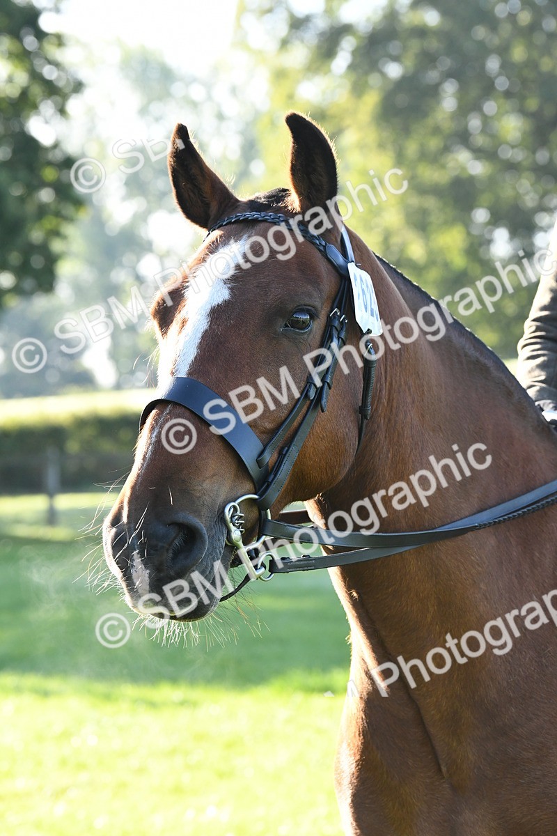 SBM_34043 - S16 - Condition & Turnout - Ridden