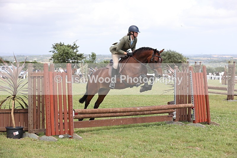 JPP_2040 - Class 19: Working Hunter 60cm