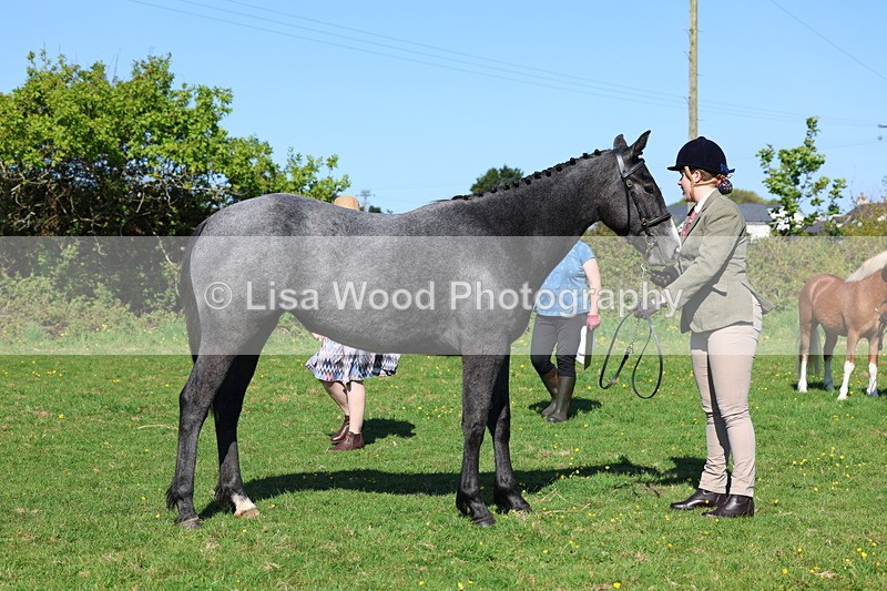 3E7A9052 - Class 15: Two/Three Year olds