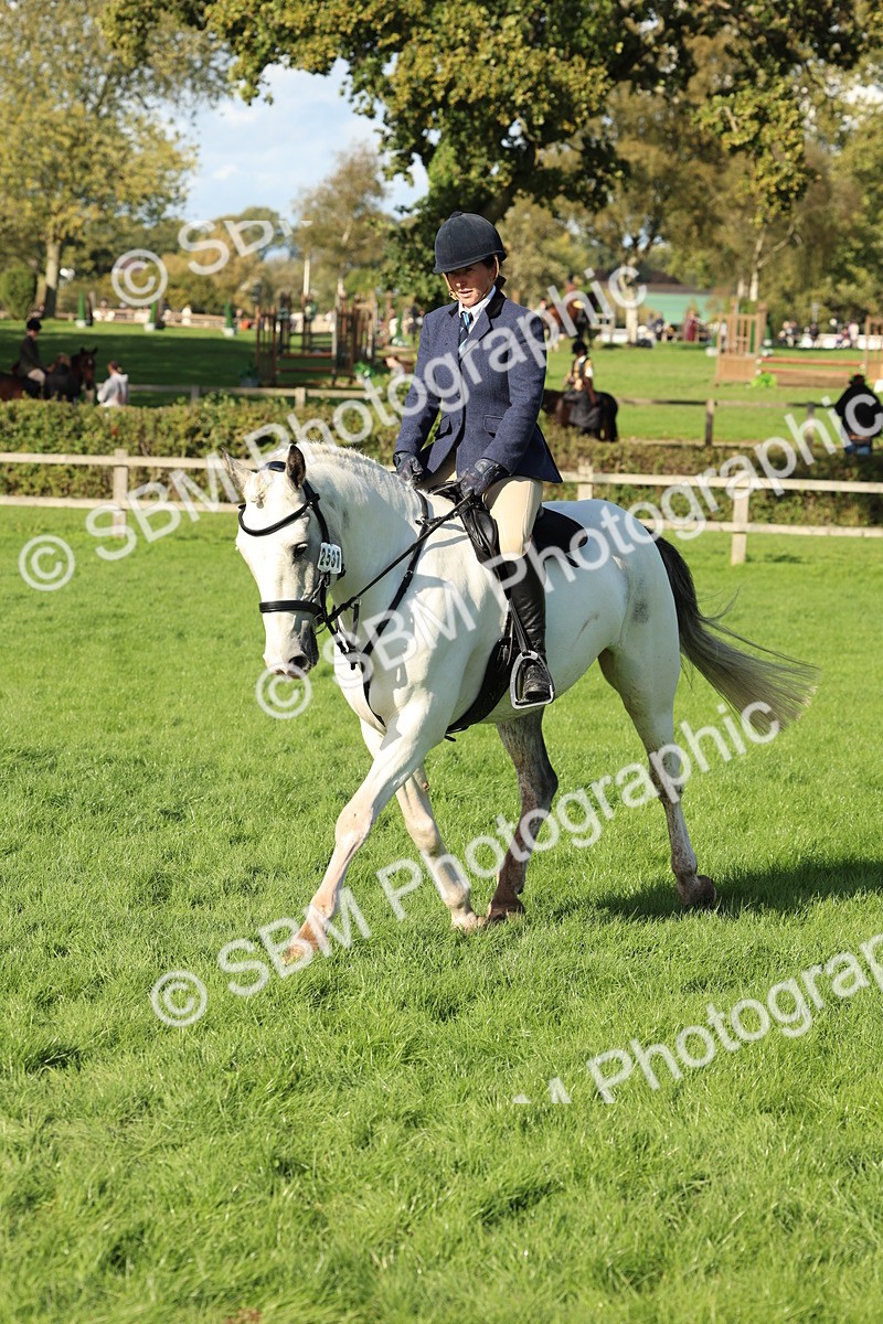 SBM_50092 - S34 - Novice & Newcomers Working Hunter