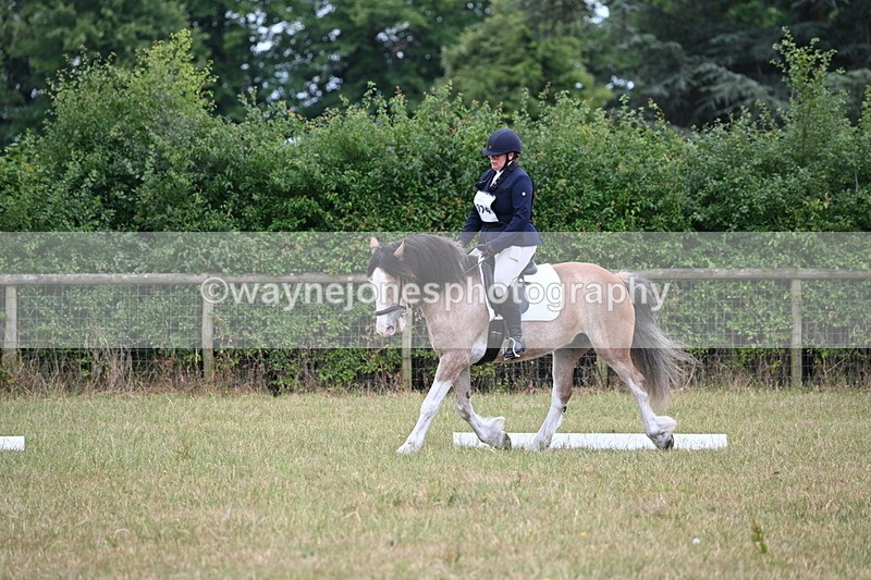 WJ6_3059 - Time 11:07 to 11:34