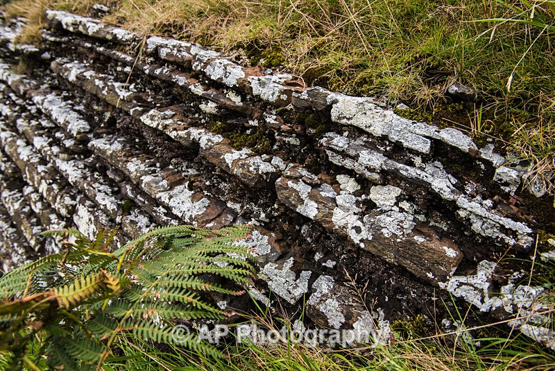 ACP_3393-1 - Tanybwlch to Morfa Bychan