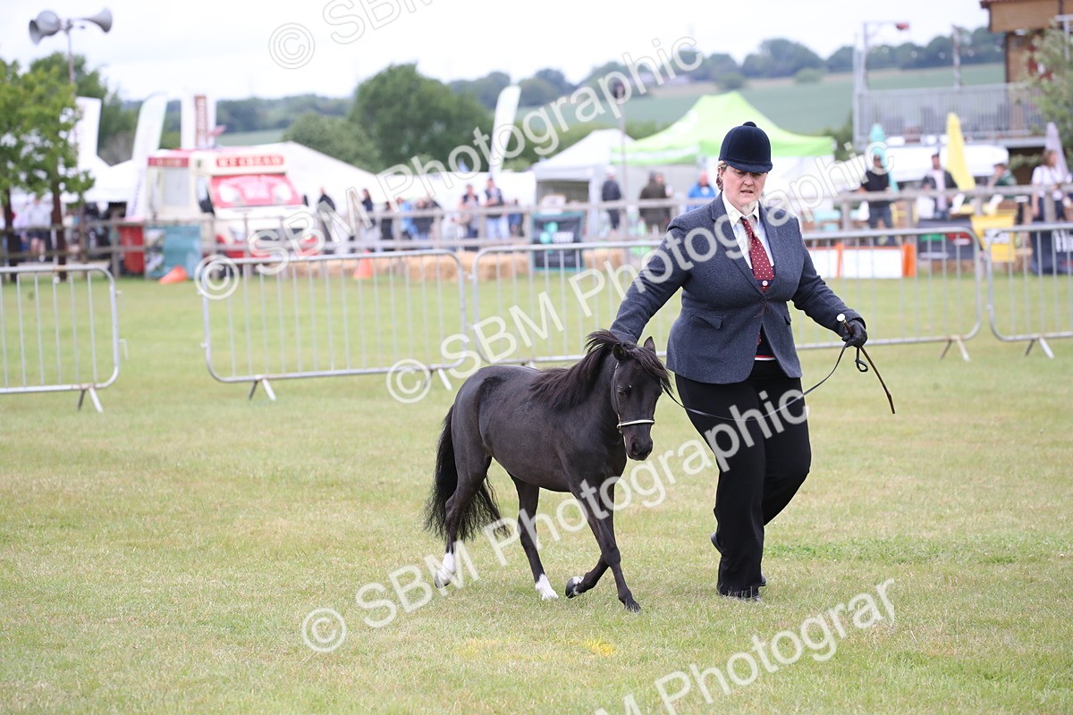 SBM_03498 - Class 23-25 - British Miniature Horse of the Year