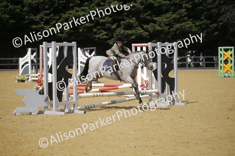 20250622-3846 - 50cm