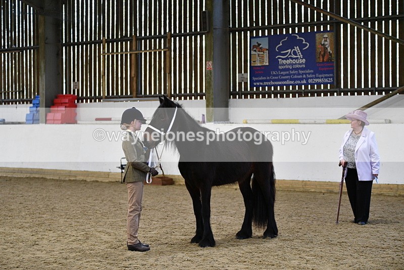 WJ5_4223 - Class 6 In hand M&M - Large Breeds