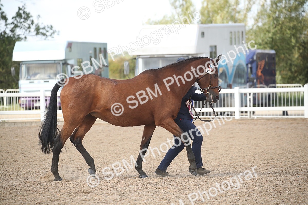 SBM_23498 - Class 604 - 2026 - Area IH Diamond