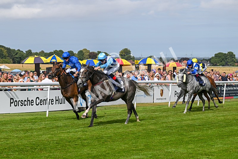 140824-Race 5-Havana Blue-6685 - Race 5