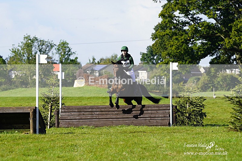  WWHT 031021 568 - WWEC Novice Restricted (0.80m) 18/10/20