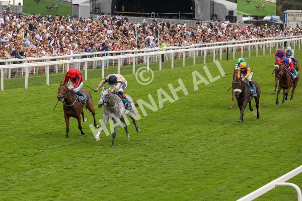 270724-Race 4-Greydreambeliever-4708 - Race 4 4.00pm Sky Bet Club EBF Fillies' Novice Stakes