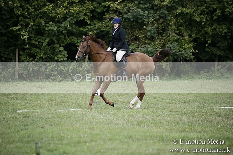 BVR090918 22 - BVRC Dressage and Show Jumping 09/09/18