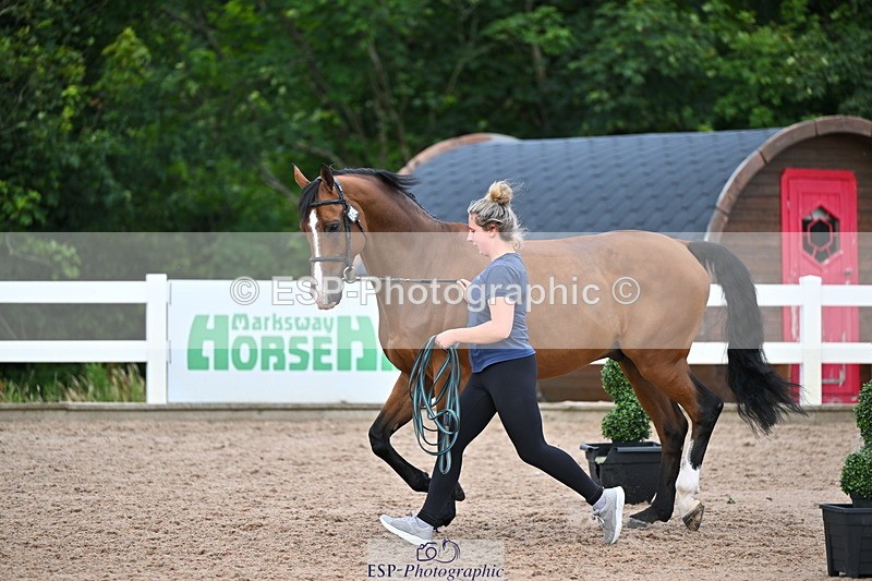 240718A-105325-01979 - Trot Up 2pm to 3pm - This folder is not in time order