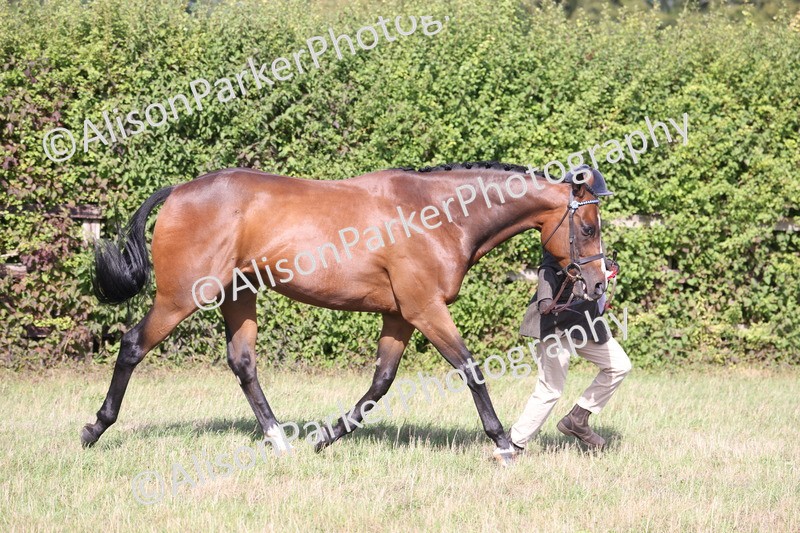 20260906-0735 - Class 22 - Ex Racehorse