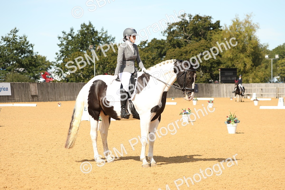 SBM_22256 - D17 - Grand Tour Championship - Novice 27